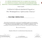 BIOMAGNETISMO - Bruno Caballero